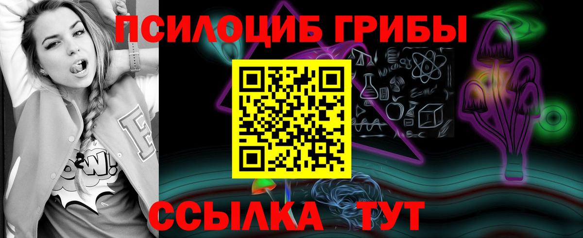 где купить наркотик  Вход с VPN  Орск  Галлюциногенные грибы мицелий 